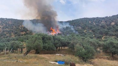 İzmir'de yangın: Havadan ve karadan müdahale edildi