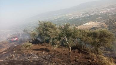 Kaynak yaparken zeytinliği yakan 2 şüpheli serbest bırakıldı