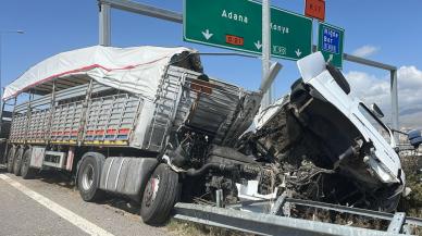 Feci kaza! Kurbanlık taşıyan TIR bariyerlere çarptı: 2 kişi yaralı, 7 büyükbaş öldü