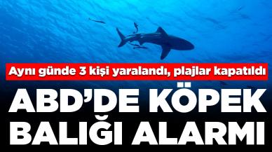 ABD’de köpek balığı alarmı! Aynı günde 3 kişi yaralandı, plajlar kapatıldı