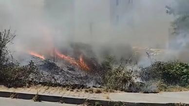 İstanbul'daki boş arazide yangın çıktı, olay yerine itfaiye ekipleri sevk edildi