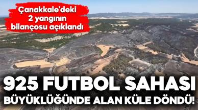 Çanakkale'de 2 yangında 952 futbol sahası büyüklüğündeki alan zarar gördü