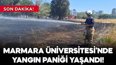 Son dakika! Marmara Üniversitesi'nde yangın paniği! Otlar alev alev yandı