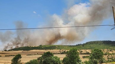 Balıkesir'de orman yangını: Havadan ve karadan müdahale ediliyor