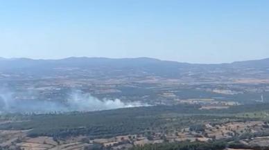 Çanakkale’deki orman yangını 1 saatte kontrol altına alındı