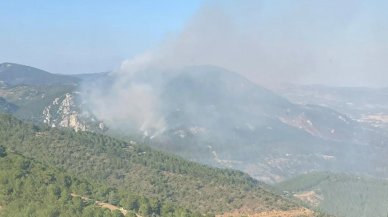 İzmir Bergama'daki orman yangınında 2'nci gün: Ekiplerin müdahalesi sürüyor