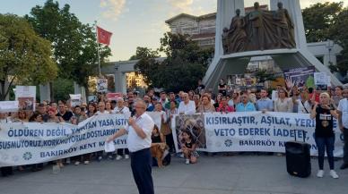 Bakırköy Kent Konseyi'nden sokak hayvanları yasasına tepki: Yasayı veto et ve geri gönder!