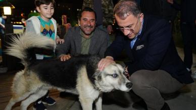 Sokak hayvanları yasasına bir tepki de Başkan Çalık’tan: “Biz yaşatmayı seçiyoruz”