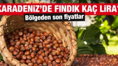 19 Ekim 2021 Salı fındık fiyatları | Fındık kaç lira? Güncel fındık fiyatı