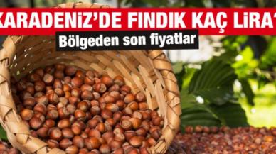 20 Ekim 2021 Çarşamba fındık fiyatları | Fındık kaç lira? Güncel fındık fiyatı