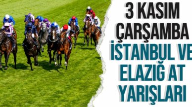 3 Kasım 2021 Çarşamba İstanbul ve Elazığ At Yarışı Tahminleri (izle) - TAY TV ve TJK TV