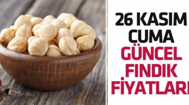 26 Kasım 2021 Cuma fındık fiyatları | Fındık kaç lira? Güncel fındık fiyatı