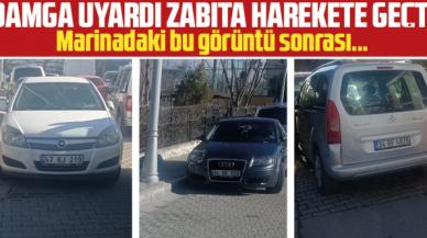 Damga uyardı zabıta harekete geçti