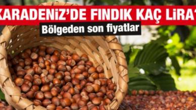 23 Ocak 2022 Pazar fındık fiyatları | Fındık kaç lira? Güncel fındık fiyatı