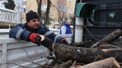 Kartal’da budanan ağaç dalları ihtiyaç sahiplerine yakacak oluyor