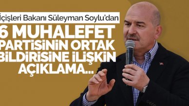 Bakan Süleyman Soylu'dan ortak bildiri açıklaması