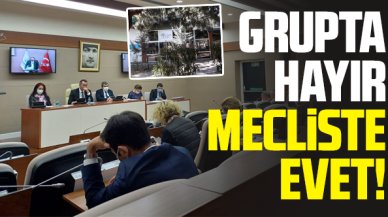 Grupta hayır mecliste evet