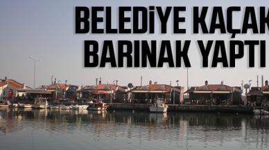 Belediye kaçak barınak yaptı