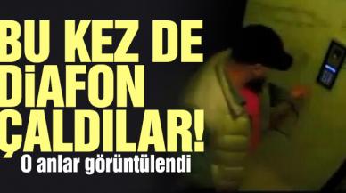 Eyüpsultan'da diafon hırsızlığı