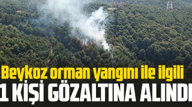 Beykoz'daki orman yangınıyla ilgili 1  şüpheli gözaltına alındı