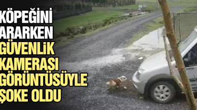 Köpeğini ararken güvenlik kamerası görüntüleriyle şok oldu