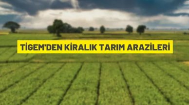 Çukurova Tarım İşletmesi Müdürlüğü, tarım arazilerini kiraya verecek