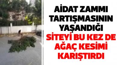 Büyükçekmece'de aidat zammının karıştırdığı site bu kez de ağaç kesimi ile gündemde