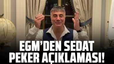 Emniyet Genel Müdürlüğü'nden gece yarısı 'Sedat Peker' açıklaması: Yasal süreç başlatıldı