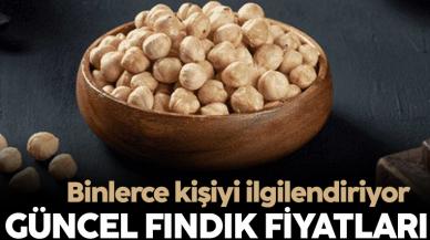 Fındık fiyatları 4 Şubat 2023! Cumartesi fındık fiyatı ne kadar?