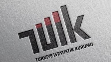 TÜİK dış ticaret endekslerini açıkladı