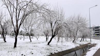 Afyonkarahisar'da kar yağışı