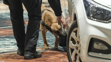 Bosna Hersek'te K9 köpekleri narkotik, silah ve patlayıcı tespiti alanlarında yarıştı