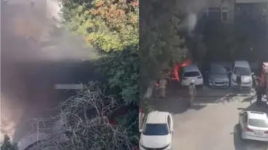 Ağaçta yangın çıktı, otomobiller alevlerin içinde mahsur kaldı