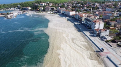 Marmara Denizi'nde müsilaj tehlikesi! Yeniden yüzeye çıkabilir!