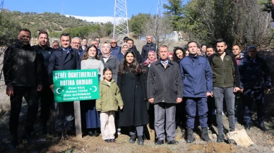 Hayatını kaybeden 4 öğretmen için hatıra ormanı projesi!