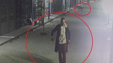 Hatay'da dehşet: Anne ve yavru kedileri sokak köpeklerine parçalattı