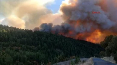 Balıkesir'e sıçrayan orman yangını kontrol altına alındı