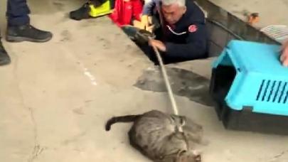 Bahçeşehir'de otomobilin altına giren kedi ve 2 yavrusunu itfaiye çıkardı