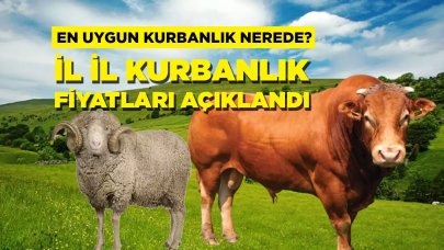 En ucuz kurbanlık fiyatları belli oldu! İşte 2023 yılı küçükbaş, büyükbaş, koyun, keçi, sığır kurbanlık fiyatları