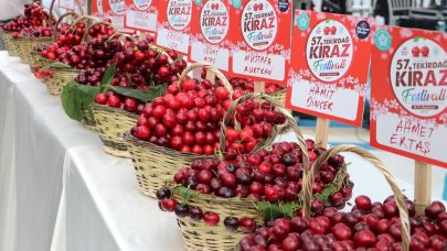 Tekirdağ'da Uluslararası Kiraz Festivali düzenlendi