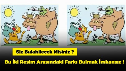 Bu İki Resim Arasındaki Farkı Bulmak İmkansız ! Peki Siz Bulabilecek Misiniz ?