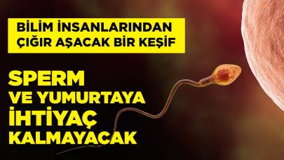 Çığır açıcı buluş: Yumurta ve sperm ihtiyacı ortadan kalkacak