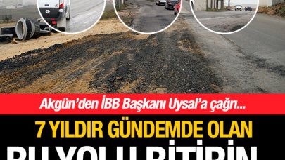 Akgün'den Uysal'a çağrı