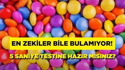 Zekasına güvenenler bile zorlanıyor! Bu gizli nesne asla görünmüyor…