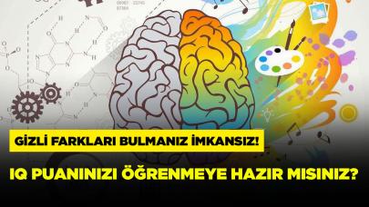 5 farkı 10 saniyede bulabilecek kadar keskin gözlere sahip misiniz ? Öğrenmenin tam zamanı!