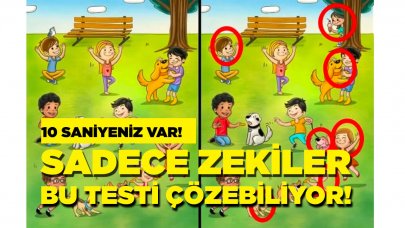 10 saniyede 7 farkı belirleyerek gözlerinizin keskinliğini test edin!