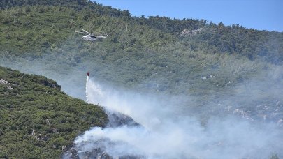 İzmir'de orman yangını