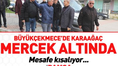 Karaağaç mercek altında