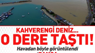 Kahverengi deniz