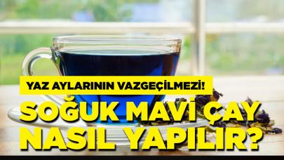 Yaz aylarında havanızı değiştirecek: Soğuk mavi çay nasıl yapılır?